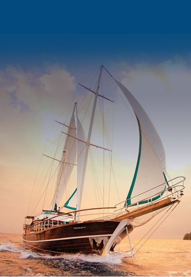 201901151312075c3d6ba7d1dcd