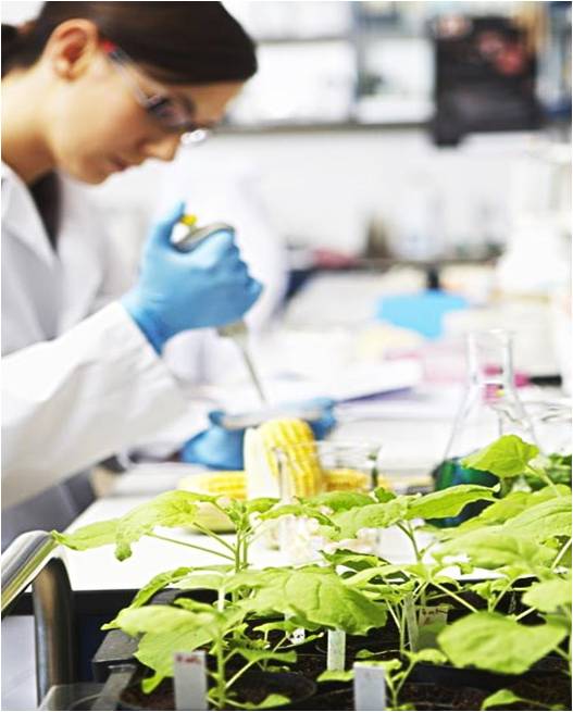 201904251542565cc16500eabdf