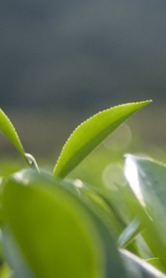 20231026164831653a27dfaa2d9